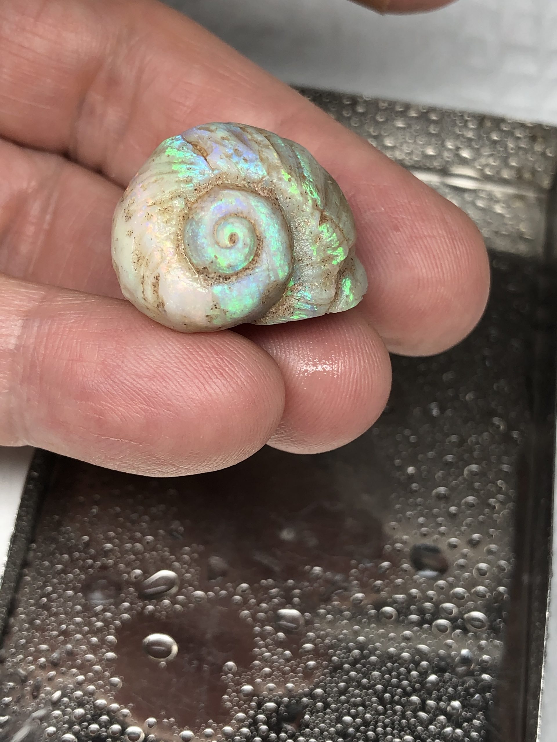 Opal Fossils – Desert Opals