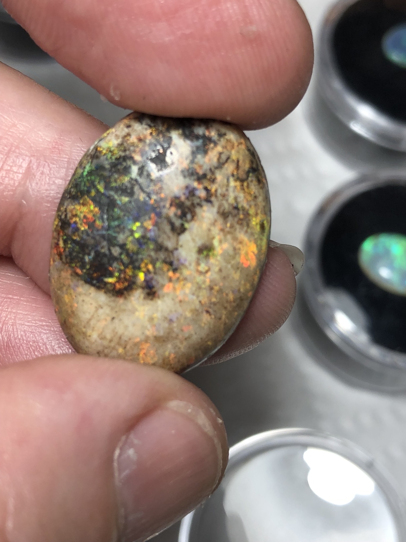 Andamooka matrix Desert Opals