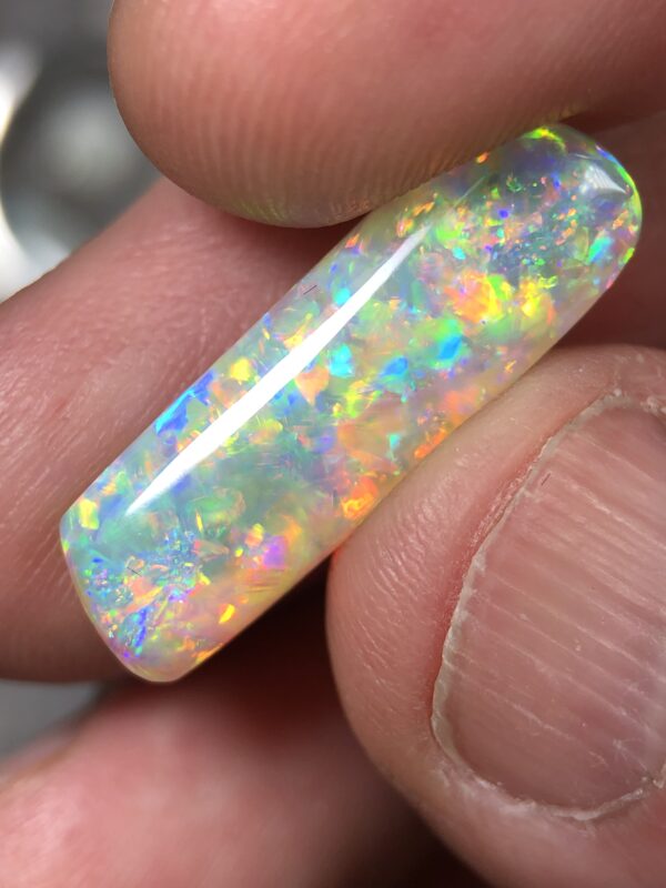 Opal fossils - Image 3