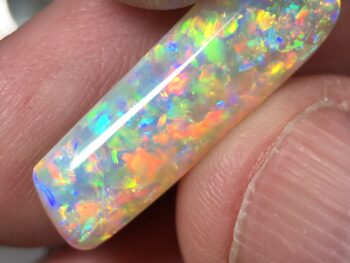 Gem grade opal Belimnite