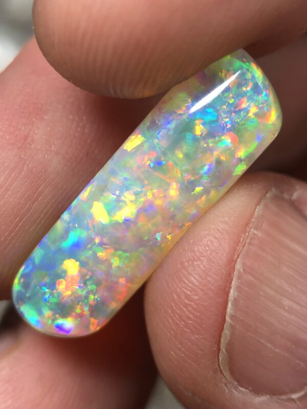 Opal fossils - Image 2