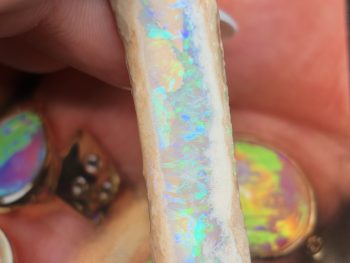 Opal fossils