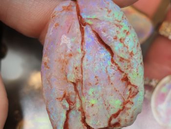 Opal fossils